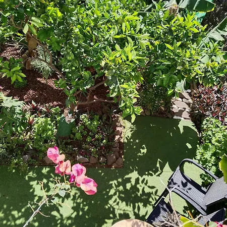 Casita Con Jardin Garachico (Tenerife)