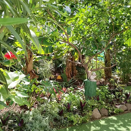 Casita Con Jardin Apartment Garachico (Tenerife)