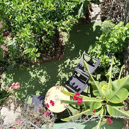 Casita Con Jardin Garachico (Tenerife)